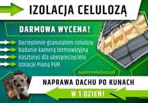Naprawa dachu po kunie | Ocieplenia pianą PUR | Termowizja | Celuloza