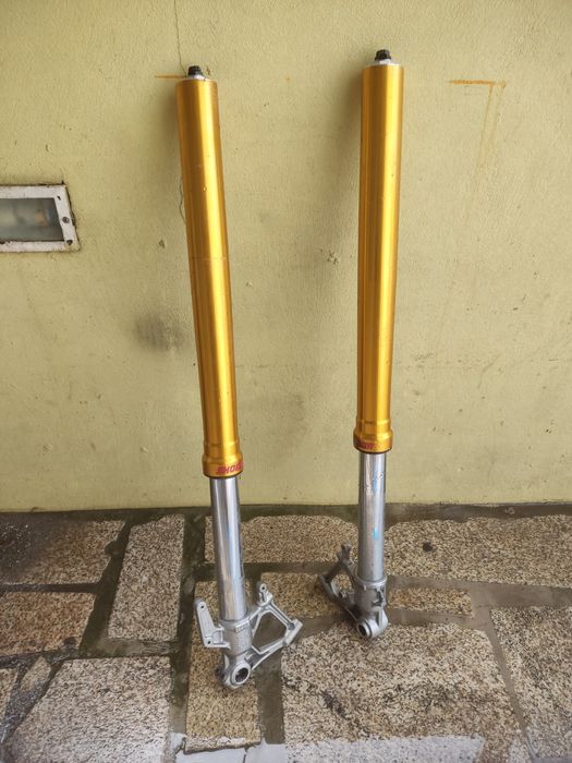 Bainhas forquilha tiger 900