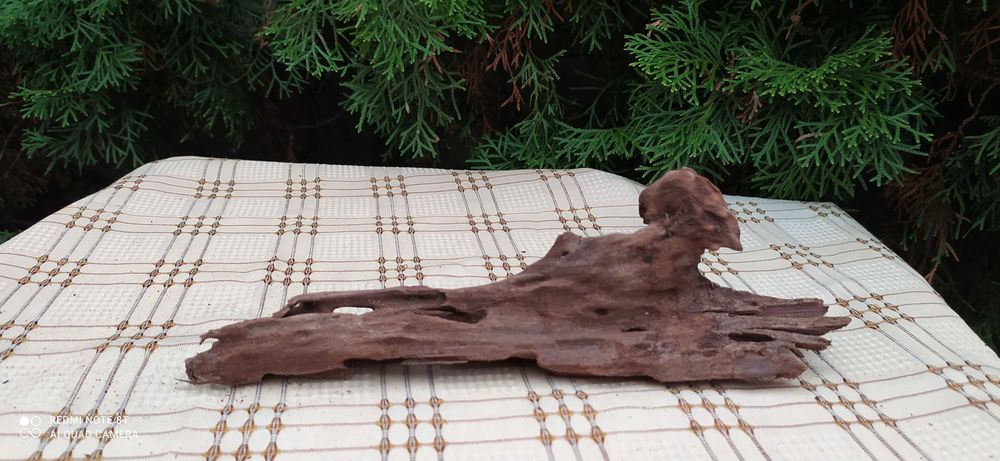 Korzeń do akwarium-27 cm