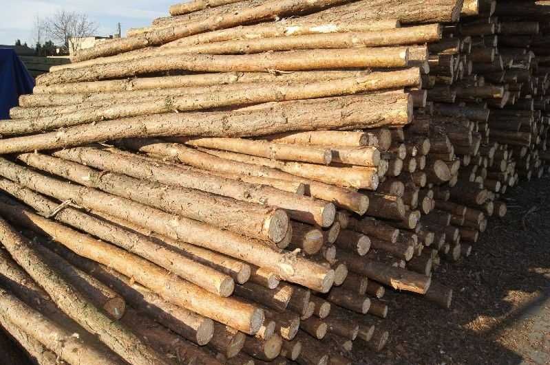 Stemple budowlane / Podpory stropowe 420 sztuk drewno