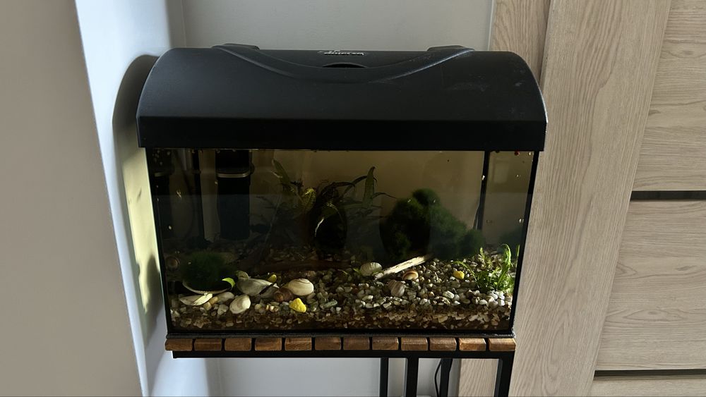 Akwarium 25 l litrów led