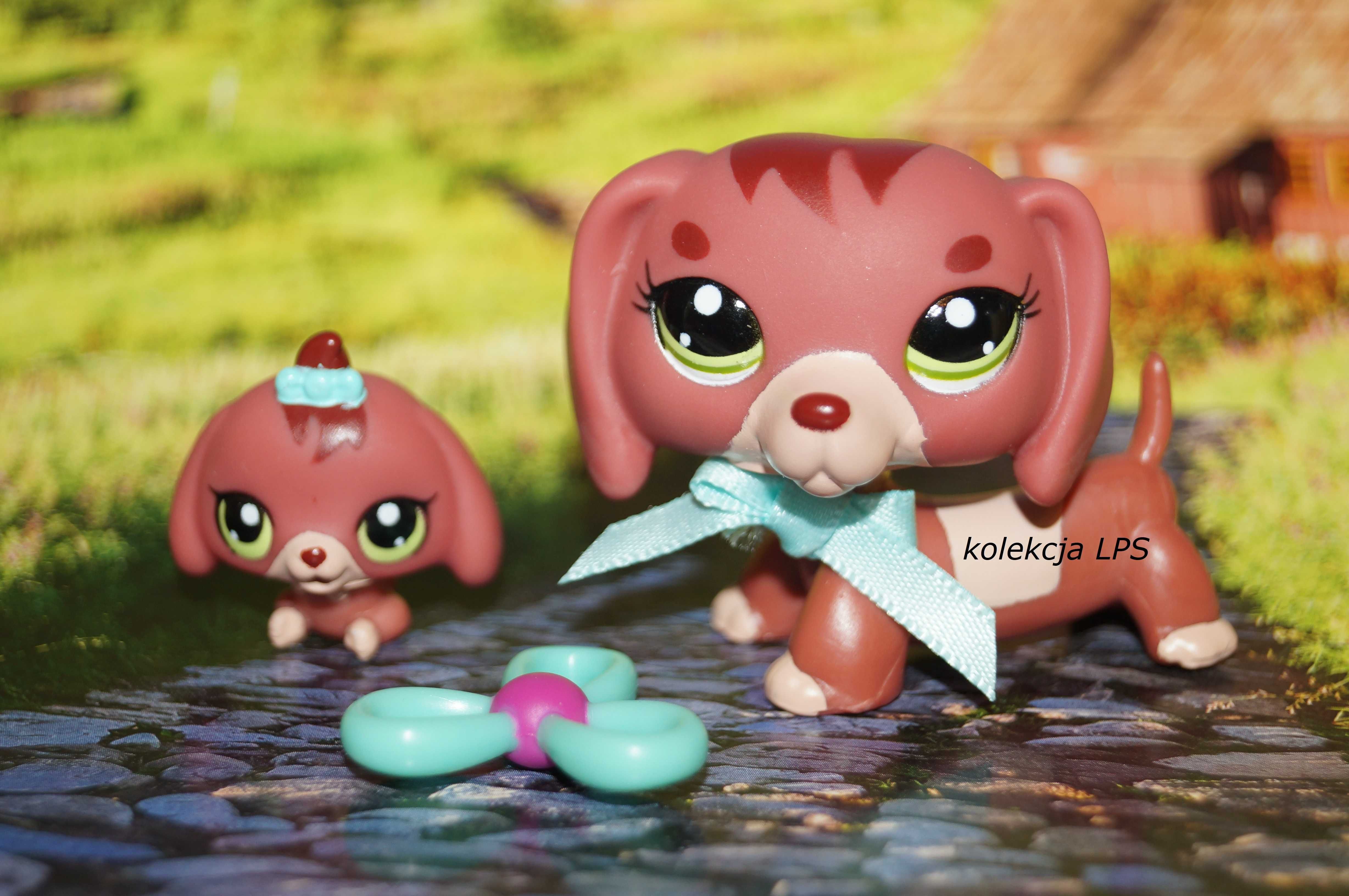 LPS Littlest Pet Shop jamnik #3601 #3602 oryginalny pop oryginał Iris