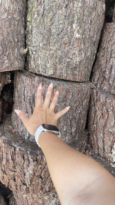 Lenha para lareira - Madeira seca - pinho pinheiro