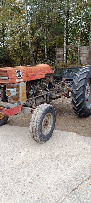 Massey Ferguson 165