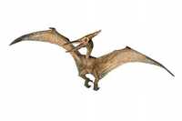 Pteranodon, Papo