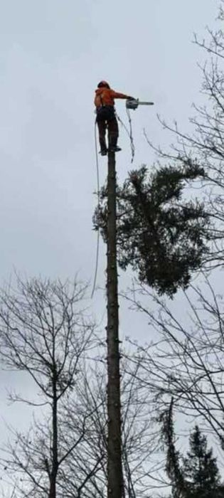 Wycinka drzew, prace alpinistyczne, zrębkowanie gałęzi