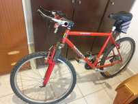 Bicicleta BTT Team Nature F100