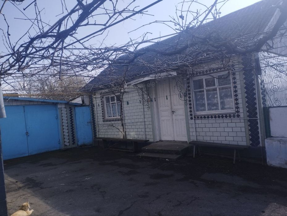 Будинок в пригороді