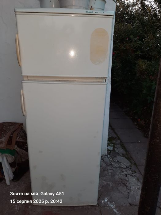 Холодильник snaige  робочий