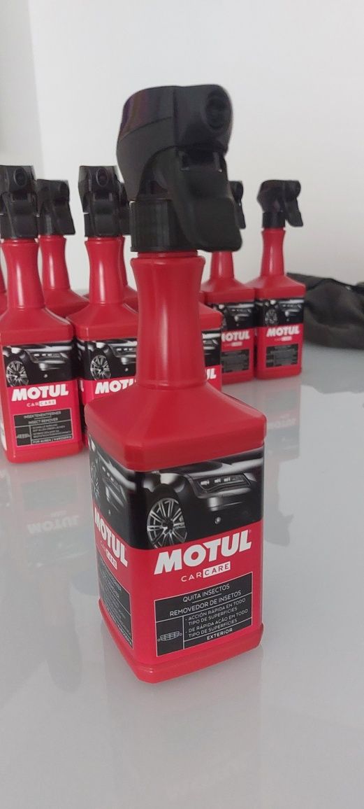 Motul Limpa Superfícies / Insectos