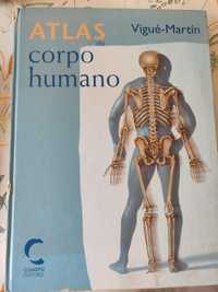 Livro anatomia humana