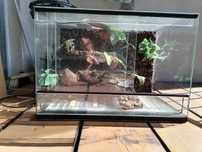 Terrarium dla gekona lamparciego z matą grzewczą + dodatki