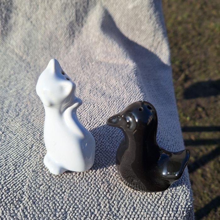 Zestaw solniczka I pieprzniczka w kształcie Kotka I Kaczki