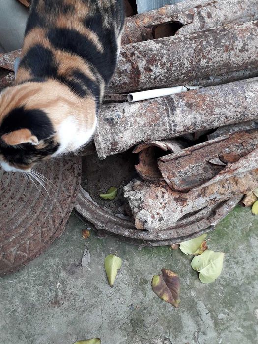 Люк металевий(комплект) для любих цілей