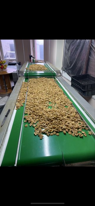 Грецький горіх очищений