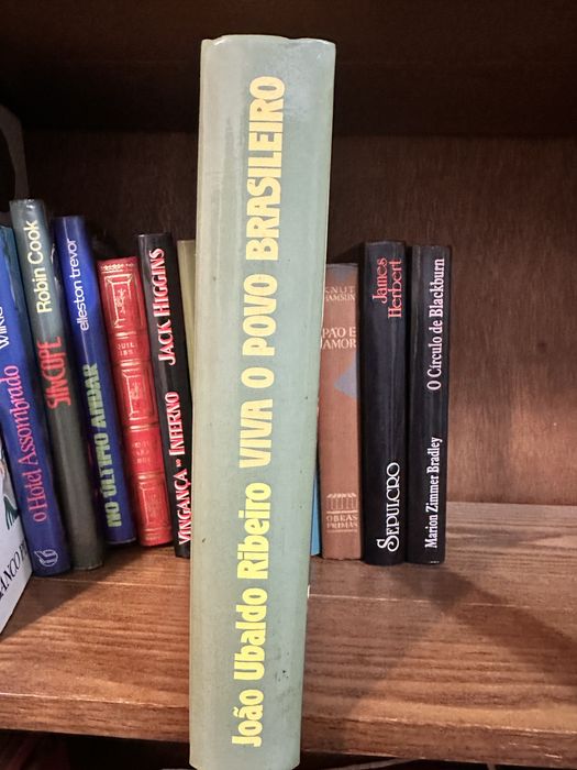 Livro Viva o povo brasileiro