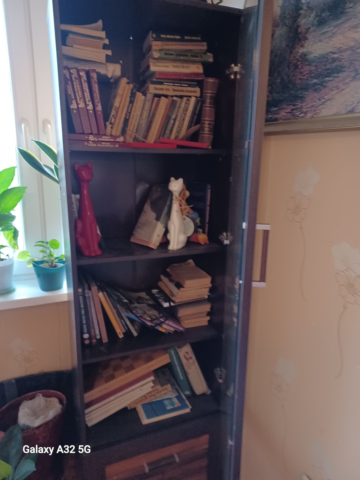 TANIO Witryna regał na książki