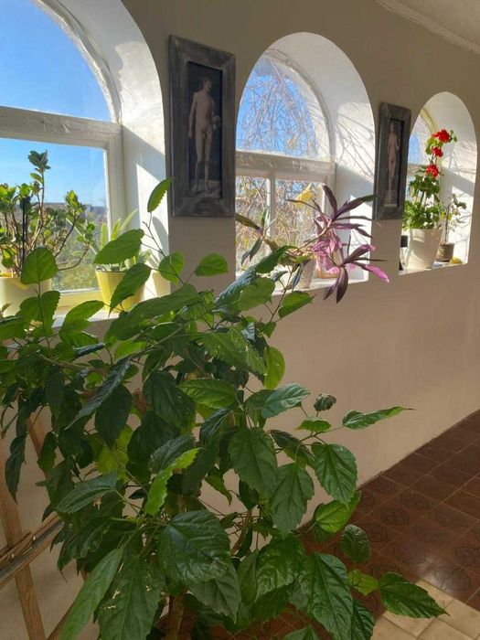 Продается  добротный дом с красного кирпича