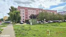 3-pokojowe mieszkanie 56 m2 | Parter | Górczyn