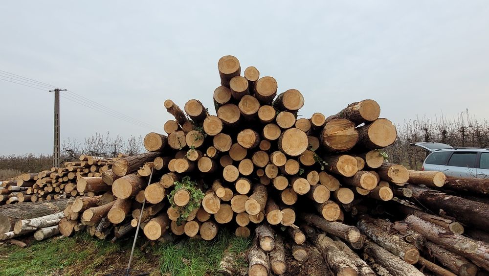 Drewno opałowe kominkowe jabłoń brzoza osika sosna mix liściasty