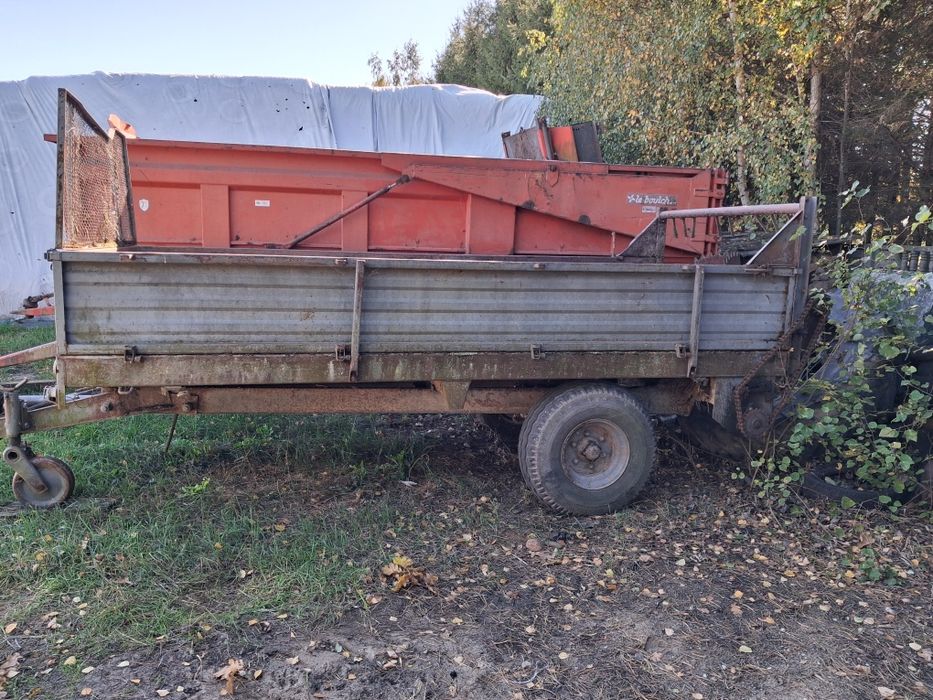 Rozrzutnik obornika . Czarna białostocka