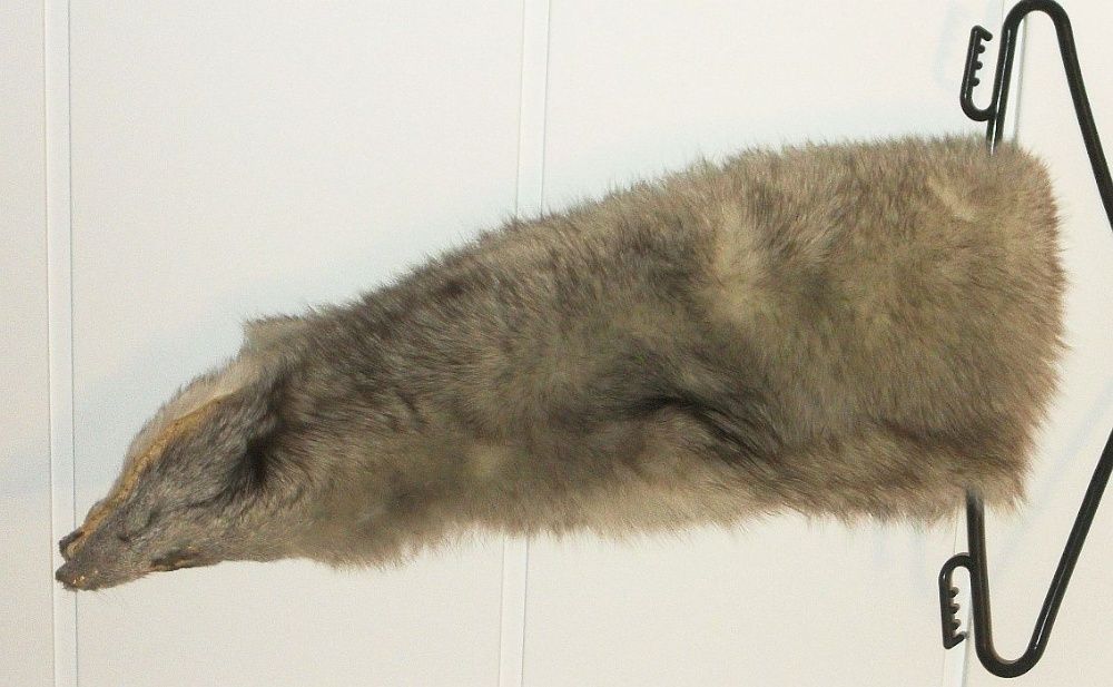 Kołnierz z lisa długość 103 cm, szerokość do 18 cm.