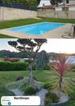 Jardineiro/Jardinagem- Construção e Manutenção de Jardins
