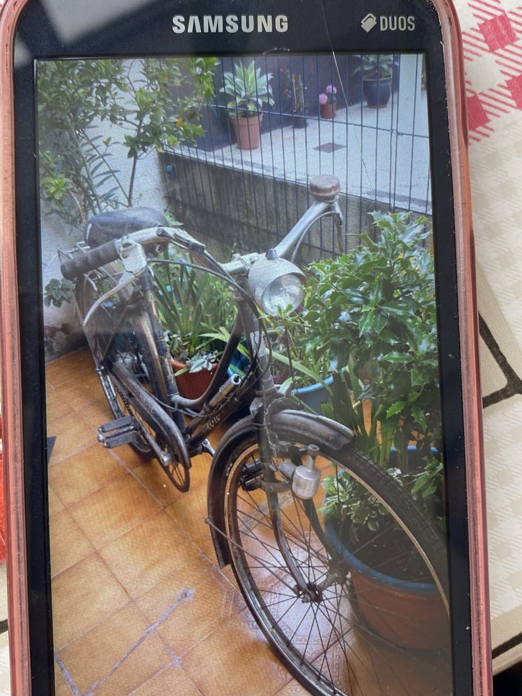 Bicicletas pasteleiras (3)