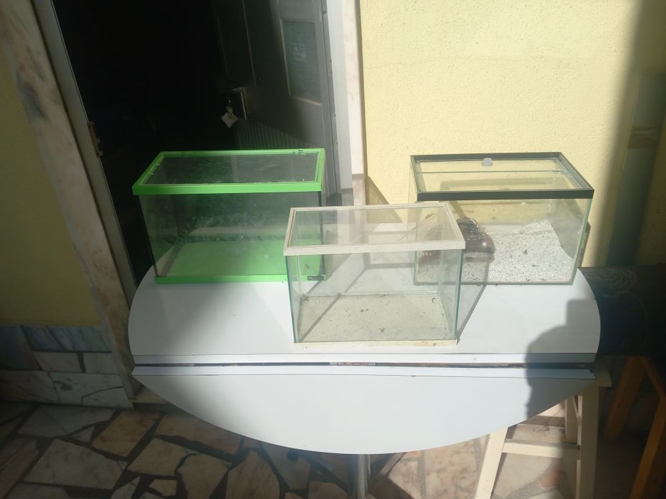 3 Aquários Vários Tamanhos