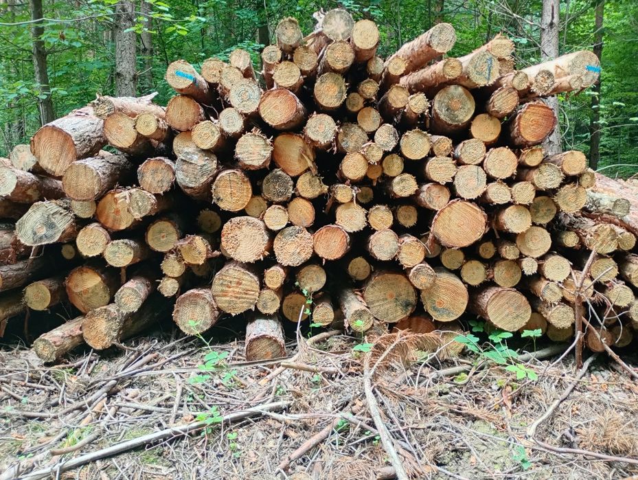 Stemple budowlane 3 metrowe słupki żerdzie transport GRATIS