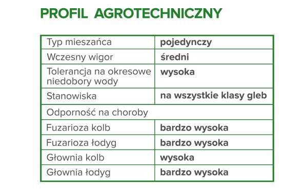 Nasiona kukurydzy Cekras C1 FAO 250 - 260 50 tys centrala nasienna