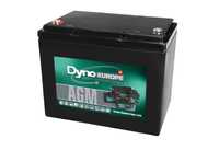 Акумуляторна батарея AGM 13v 100Ah Dyno Battery (Бельгія)