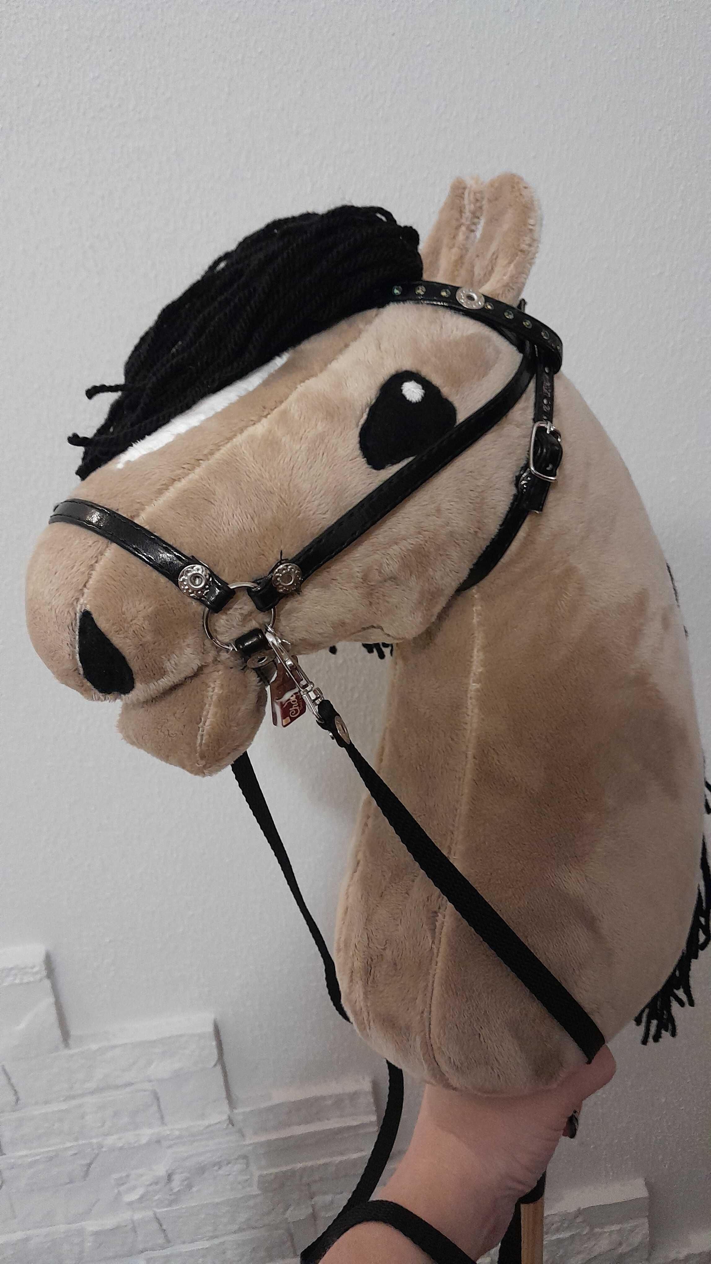 Hobby horse konik