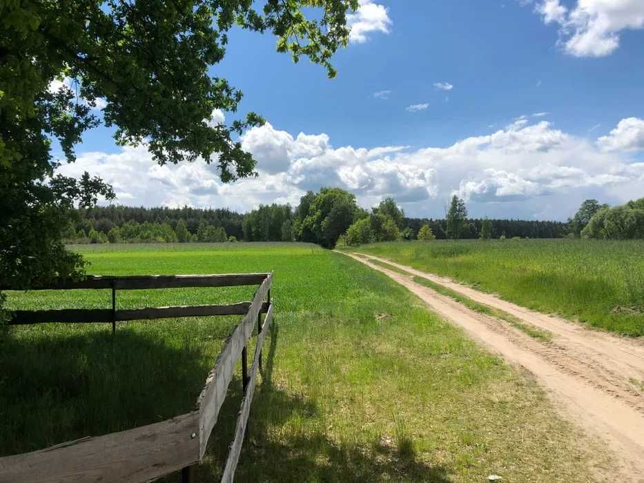 Ostoja Będzyn- Domki na wynajem, agroturystyka, domki nad Pilicą, Spły