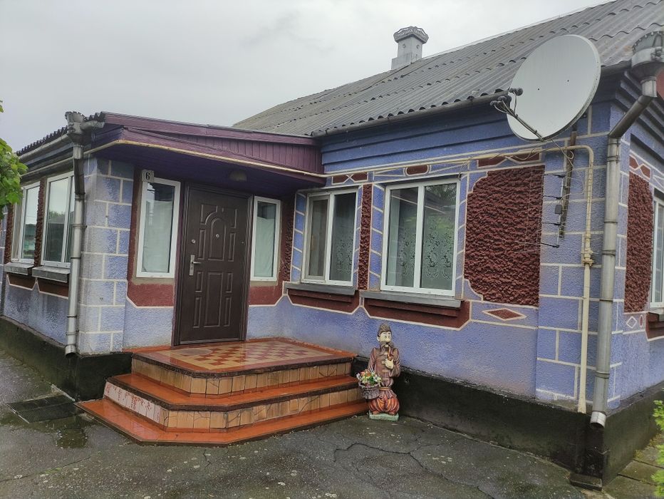 Будинок з присадибною ділянкою