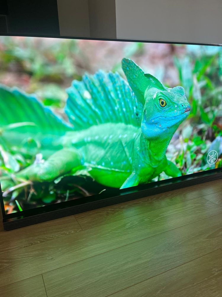 LG OLED 4K 65 polegadas