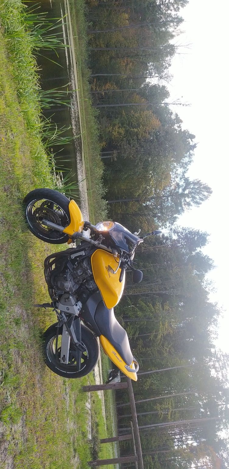 Honda Hornet 600