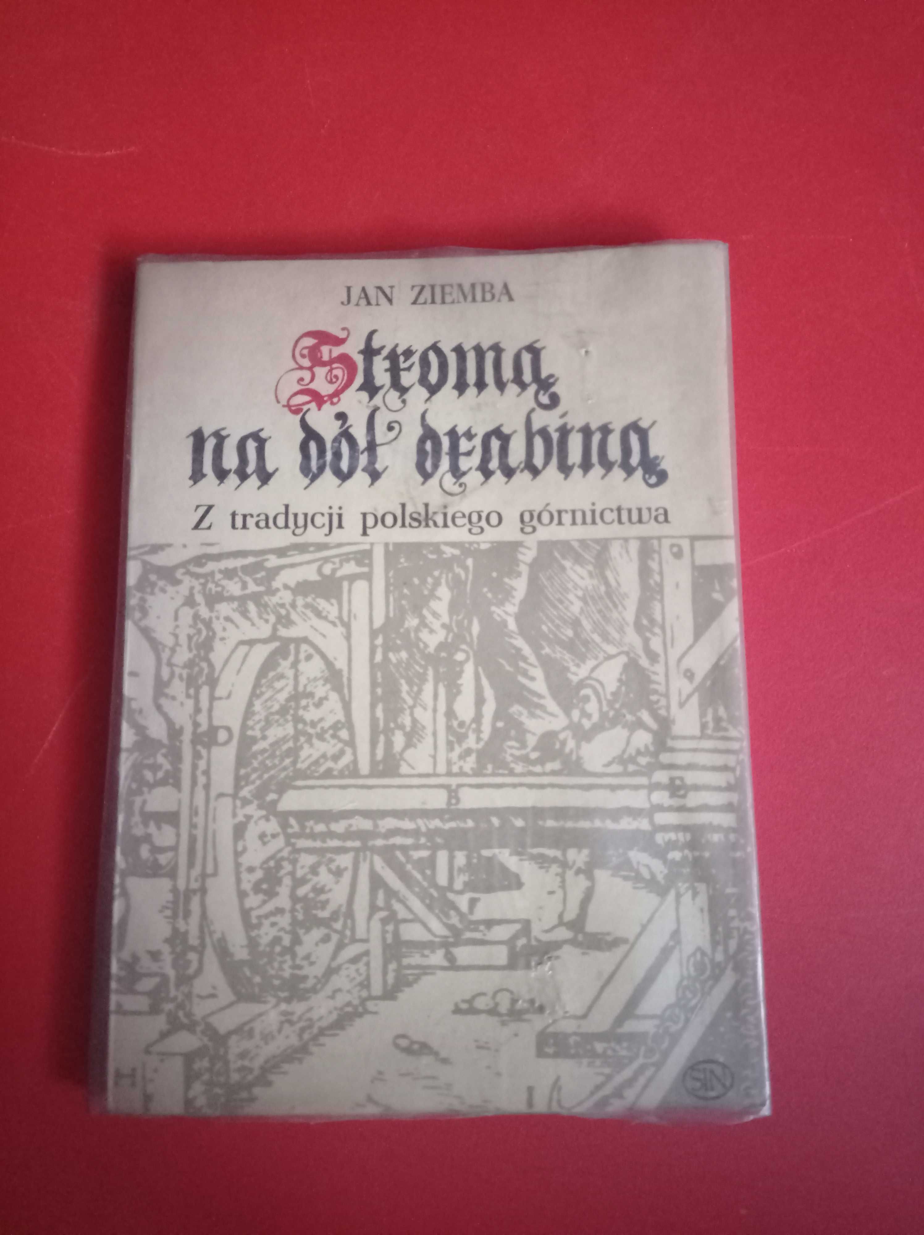 Stromą na dół drabiną. Z tradycji polskiego górnictwa - Jan Ziemba