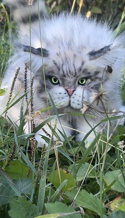 Мʼяка іграшка, ручна робота