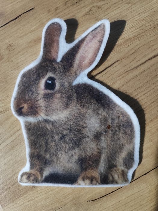 naklejka ścienna WALL Snuggles Królik