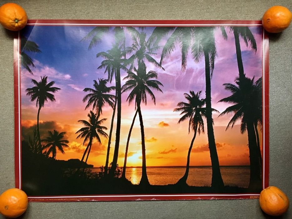 Poster quadro grande de paisagem tropical