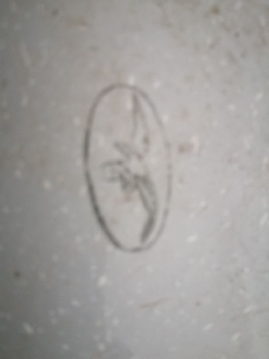 Bacia esmalte antiga