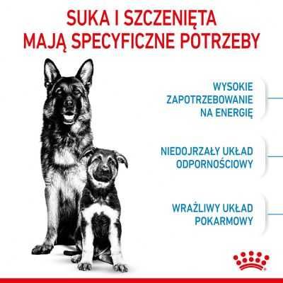 Karma dla psa Royal Canin Maxi Starter Mother & Babydog 15kg OKAZJA !!