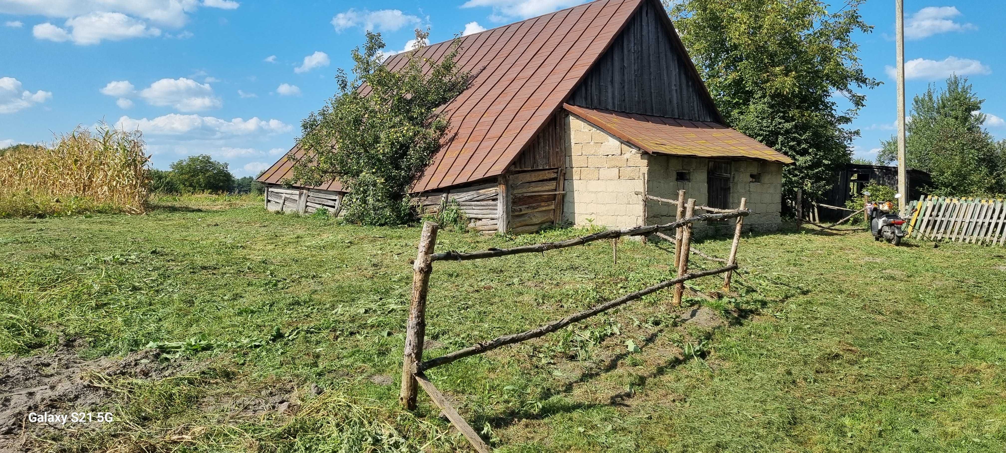Будинок з земельною ділянкою