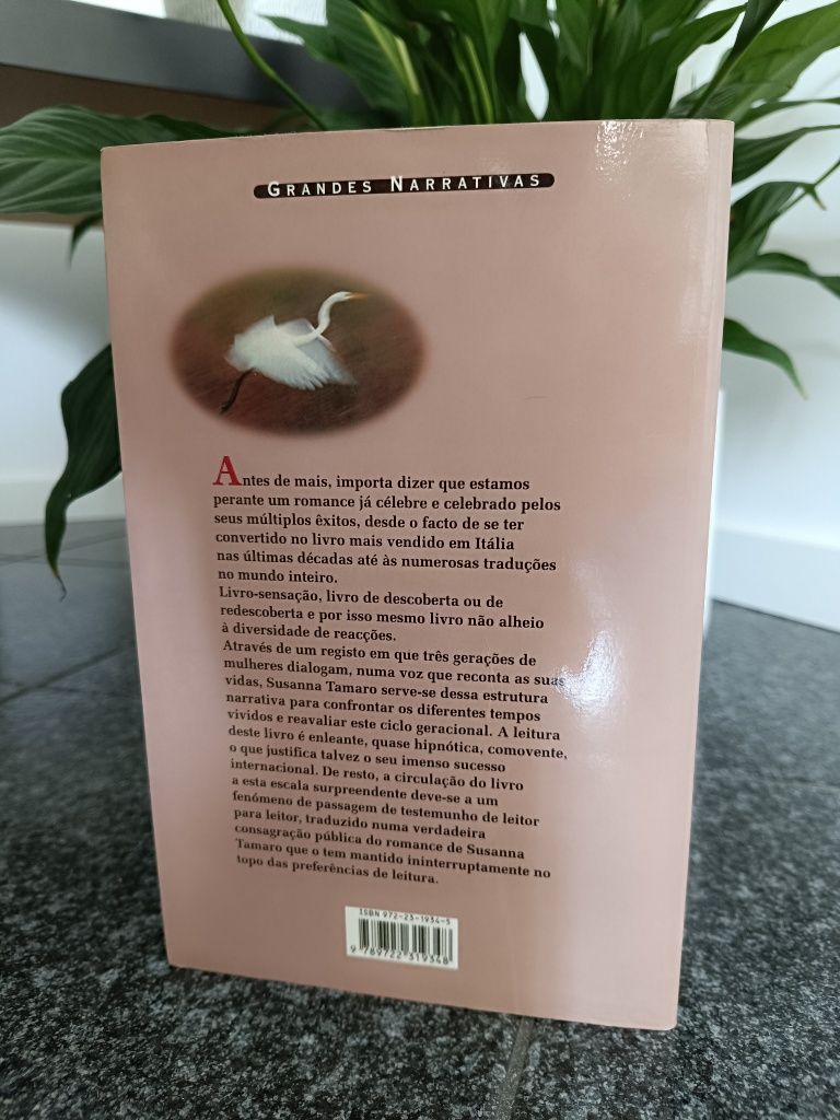 Vai aonde te leva o coração de Susanna Tamaro