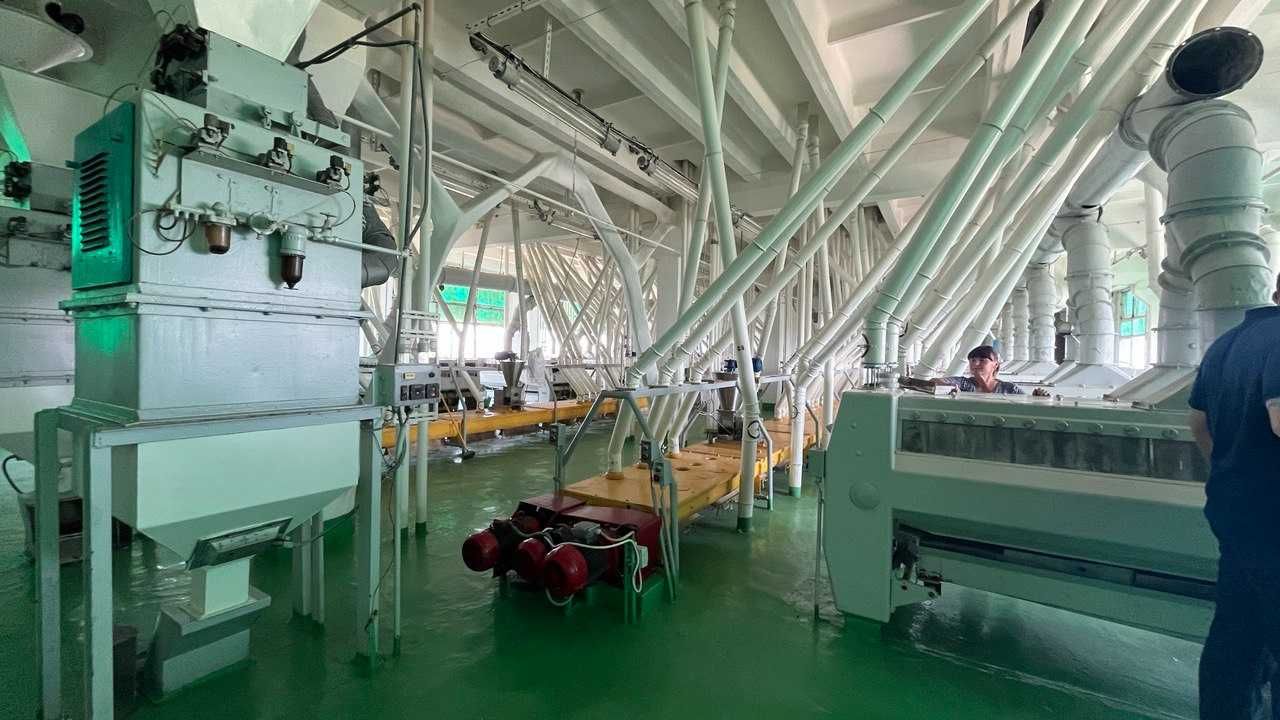 ЄМК ДП "Новопокровський комбінат хлібопродуктів", площа 57 тис.кв.м