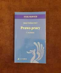 Prawo pracy Wyd.5/2020 Jakub Stelina + last minute