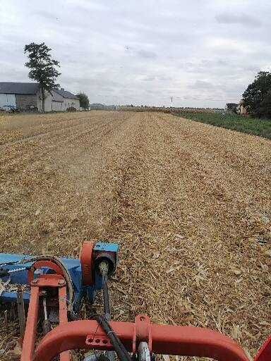 Talerzowanie ,mulczowanie ściernisk kukurydzy koszenie trawy