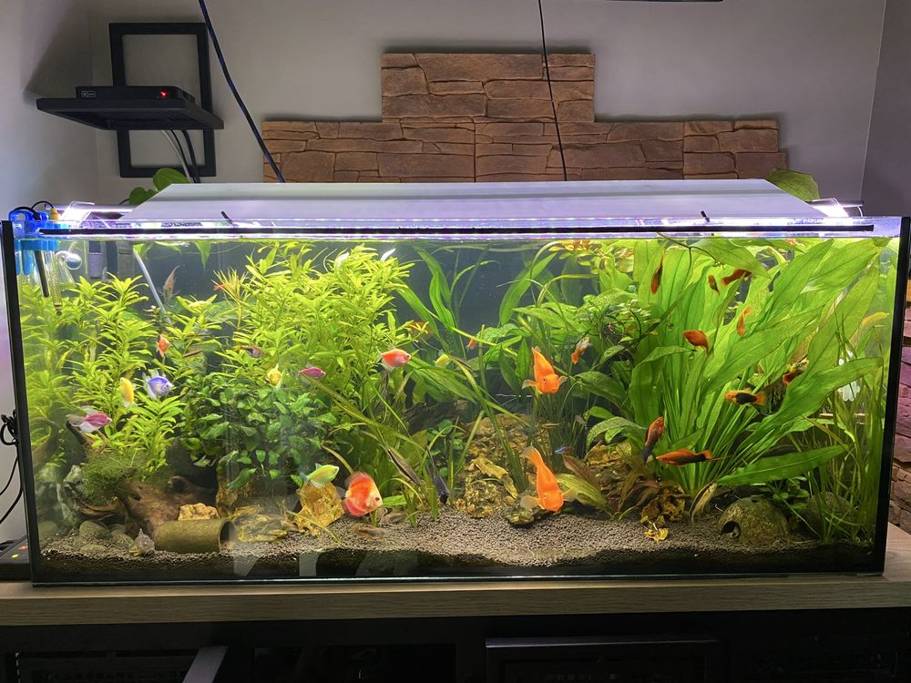 Szkło Akwarium 300l 120x50x50