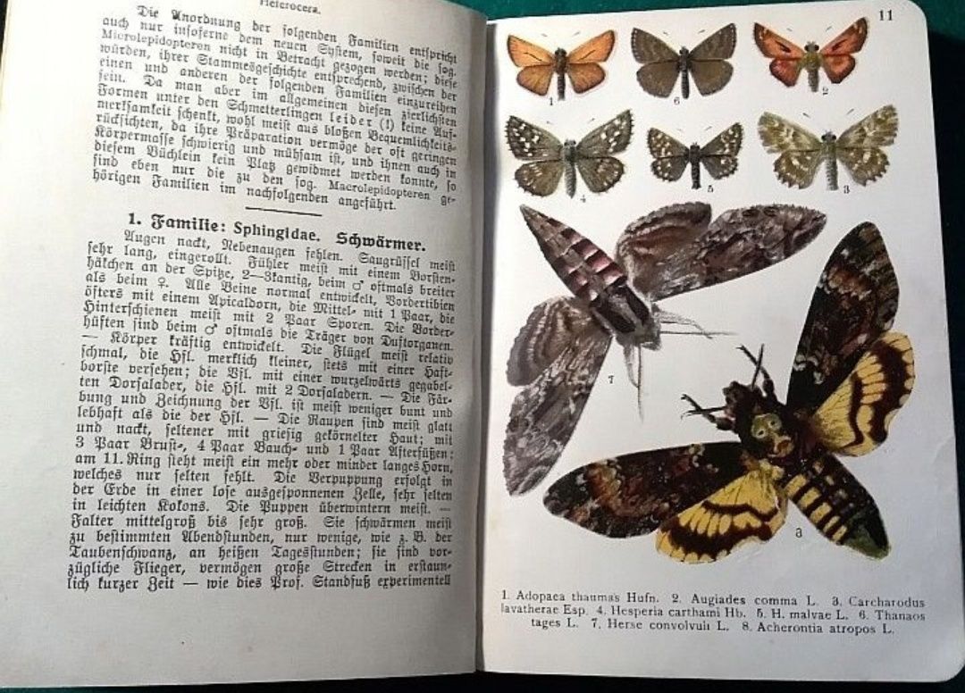 Wagner owady chrząszcze motyle entomologia 3 tomy